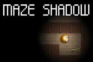 Maze Shadow